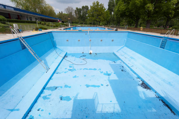 Best Water damage repair service  in Homosassa, FL