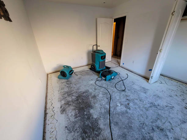 Water damage restoration experts in FL