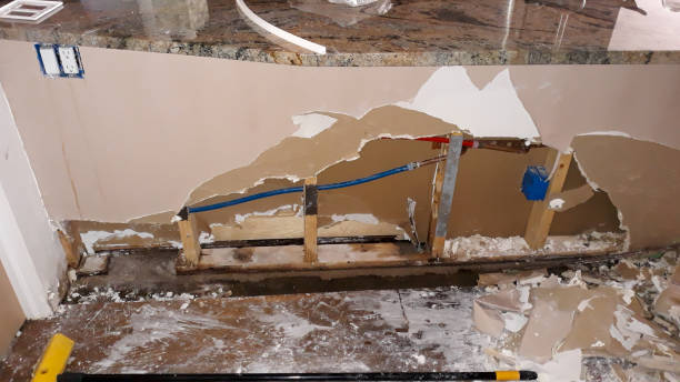 Best 24-hour water damage restoration  in Homosassa, FL