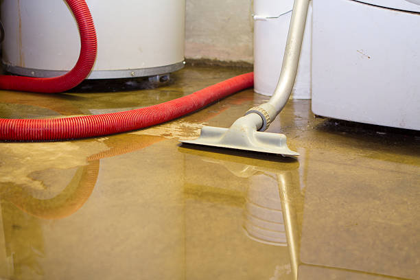 Best Commercial water damage restoration  in Homosassa, FL