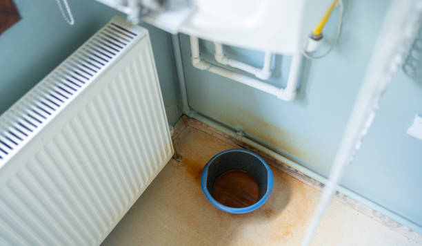 Best Water damage restoration cost  in Homosassa, FL